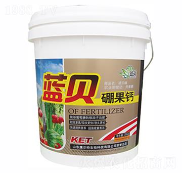 藍(lán)貝膨果鈣-康爾特