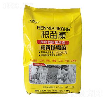 ��(x��)�S�ù��-���翵-�ڼژ�