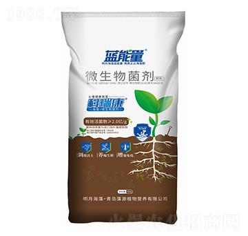 科瑞康微生物菌劑-藍能量-藻源植物