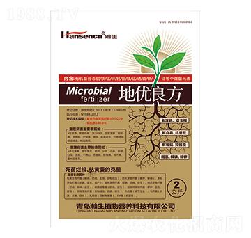 微生物菌肥-地優(yōu)良方（穴施型）-瀚生