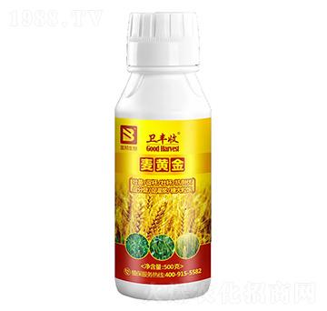 麥黃金-衛(wèi)豐收-富邦生物