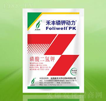 ���S��⛄�(d��ng)��-�º��S