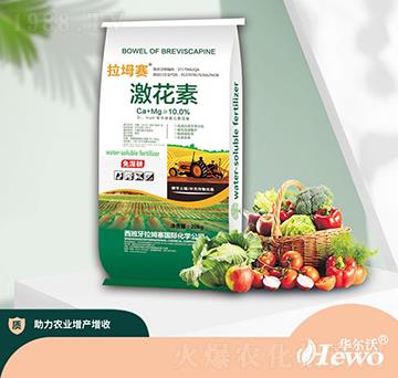 20kg激花素-拉姆塞-華爾沃