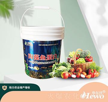 海藻魚蛋白-拉姆塞-華爾沃