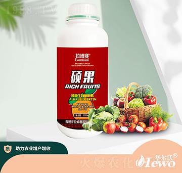 碩果藻源生物刺激素-拉坶賽-華爾沃