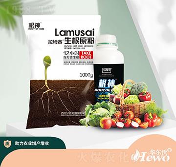 生根原粉-拉坶賽-華爾沃