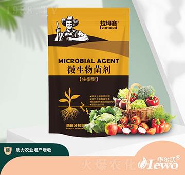 微生物菌劑-拉坶賽-華爾沃