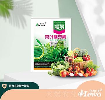 茶葉催芽素-華爾沃