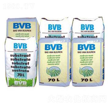 ���N���û��|-BVB-�������r�Q