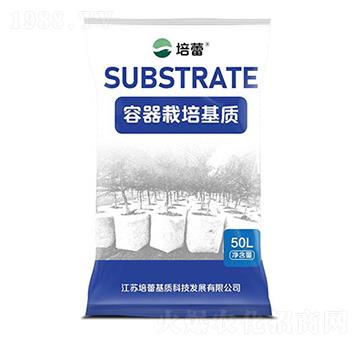 ����������|-����