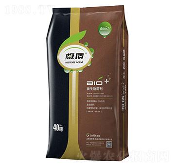 �O�|΢����������p�����������{������-�ۃ�