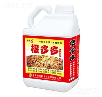 根多多-正丹力-金凱陽