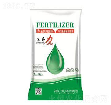 正丹力-金凱陽(yáng)