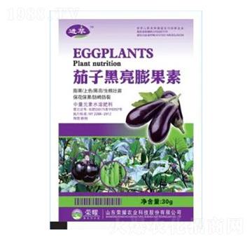 30g茄子黑亮膨果素-榮耀農(nóng)業(yè)