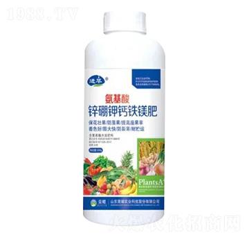 1000g�������\����}�F�V��-�sҫ�r�I(y��)