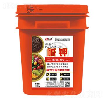 ���������I�B(y��ng)�{(di��o)�펟-�A