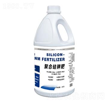 �ۺϹ�⛷�-����һ̖-