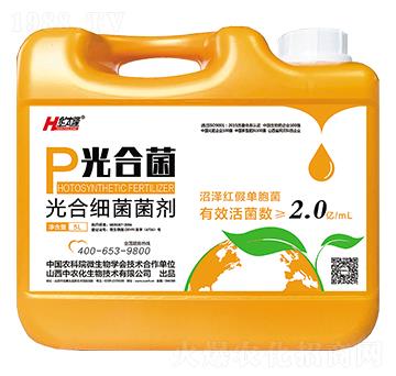 ��ϼ�(x��)������-��Ͼ�-