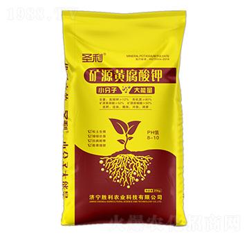 �VԴ�S�����-ʥ��-�����r�I(y��)