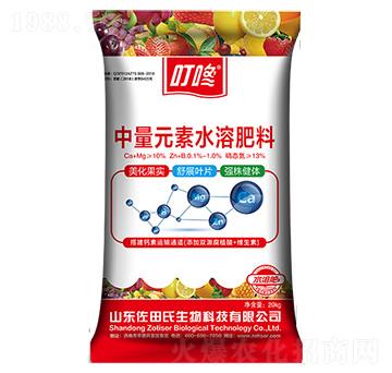 ��������Ԫ�أ��t�b��-������