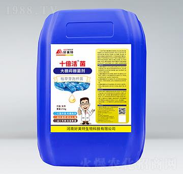 ��������-ʮ�����-������