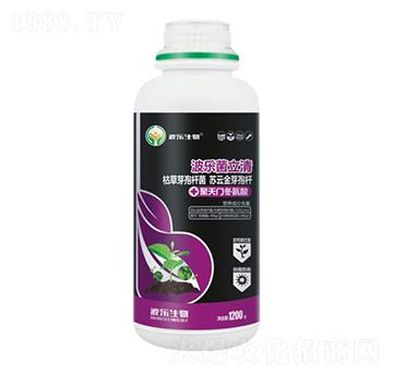 ����������-��������