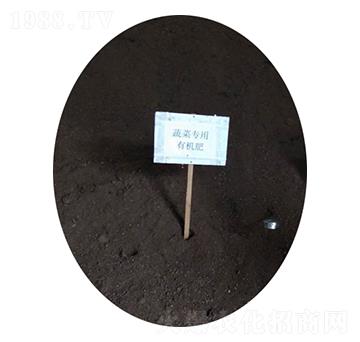 蔬菜專用有機肥-農(nóng)神肥業(yè)