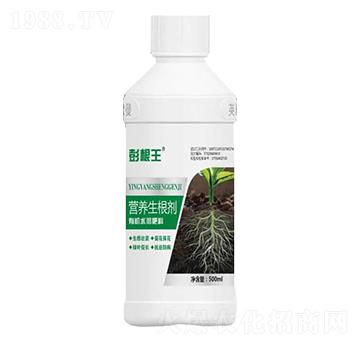 營養(yǎng)生根劑-膨根王-歐曼