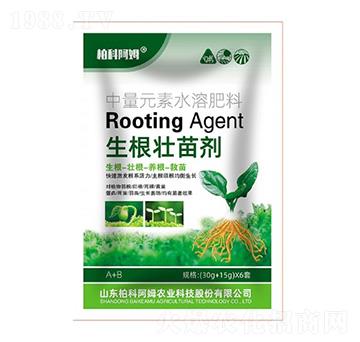 中量元素水溶肥料-生根壯苗劑-柏科阿姆