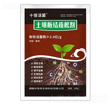 ������Y(ji��)���Ʉ�-ʮ�����-������