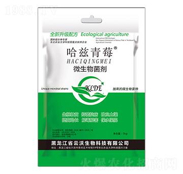 微生物菌劑（粉劑）-哈茲青莓-云沃生物