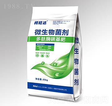 ����ø̼����-�����_(d��)-