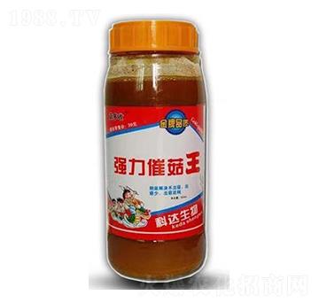 保菇王·強(qiáng)力催菇王-科達(dá)生物