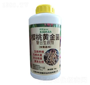 櫻桃專用黃金菌復(fù)合生根劑-中科灑喜