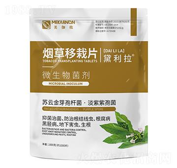 ��������Ƭ-������-��٤�z