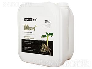 ���־�(xi��n)�����(f��)���־�(xi��n)��-Ψ�u(y��)