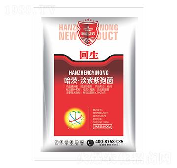 ���ġ��������߾�-����-������r(n��ng)