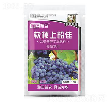 葡萄專(zhuān)用軟梗上粉佳-瀚正植互-瀚正益農(nóng)