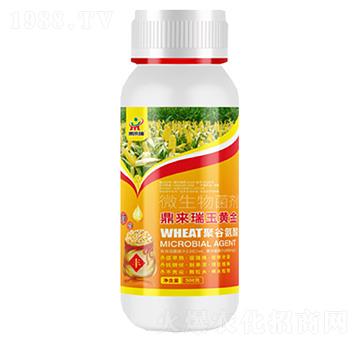 鼎來瑞玉黃金微生物菌劑-鼎來瑞