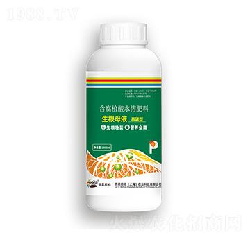 ����ĸҺ�������ͣ�-�ڶ����