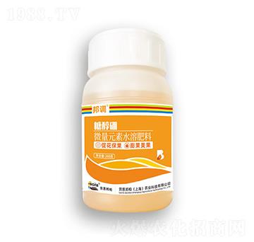 �Ǵ���-���{(di��o)-�ڶ����