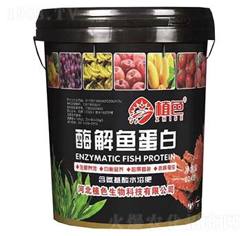 酶解魚蛋白-植色生物