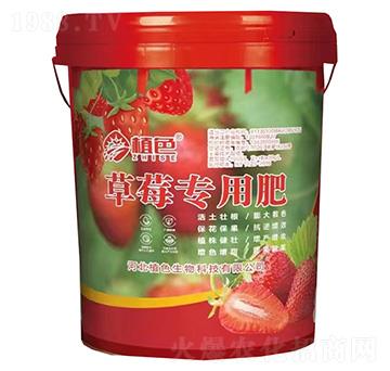 草莓專用肥-植色生物