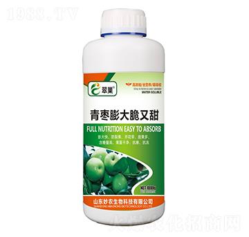 青棗膨大脆又甜-翠巢-妙農(nóng)生物