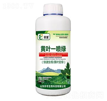 黃葉一噴綠-翠巢-妙農(nóng)生物