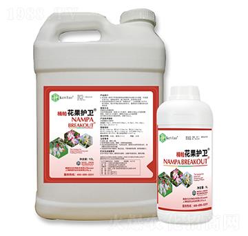 楠帕花果護(hù)衛(wèi)-耕道