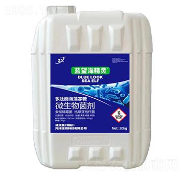 多肽酶海藻寡糖微生物菌劑-藍望海精靈-藻之藍