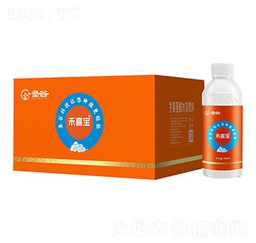 含氨基酸水溶肥料-禾喜寶-圣谷-可伊農(nóng)業(yè)