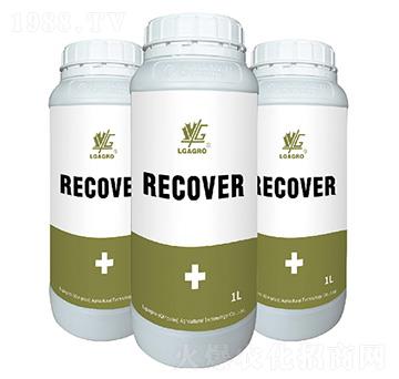 �����-�����_