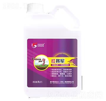 ��֥�����-�t��܊-�Z����